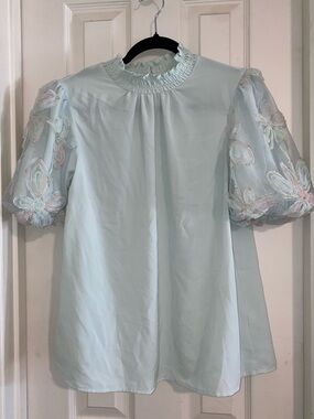 entro Pastel Green Puff Sleeve Blouse with Embroidered Sheer Sleeves